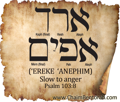 Hebrew Word Study – Slow to Anger – ‘Ereke  ‘Anephimארך אפים     