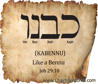 Hebrew Word Study – Like a Bennu – Kabennu  כבנו 