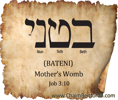 Hebrew Word Study – Mother’s Womb – Bateni – בטני