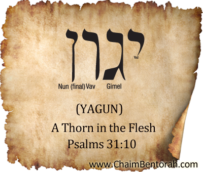 Hebrew Word Study – A Thorn in the Flesh – Yagun יגון 