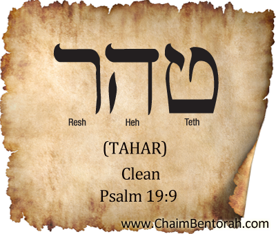 Hebrew Word Study – Clean – Tahar טהר  