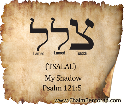 Hebrew Word Study – My Shadow – Tsalal צלל 