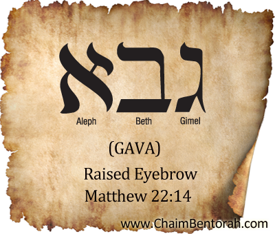 Hebrew Word Study – Raised Eyebrow – Gava – גבא  