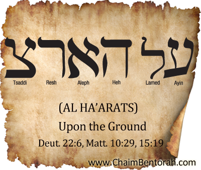 Hebrew Word Study – Upon the Ground  Al Ha’arats –  על הארצ 