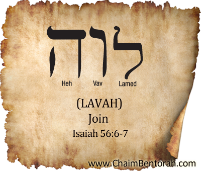 Hebrew Word Study – Join – Lavah  לוה