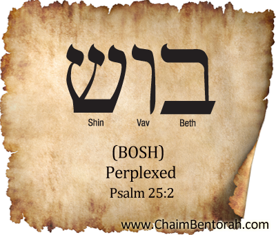 Hebrew Word Study – Perplexed – Bosh – בוש