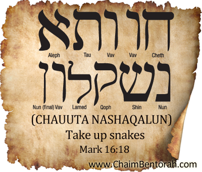 Aramaic Word Study – Take Up Snakes Chauuta Nashaqalun  חוותא נשקלון