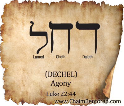 ARAMAIC WORD STUDY – AGONY  דחל 