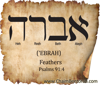 Hebrew Word Study – Feathers – ‘Ebrah   אברה