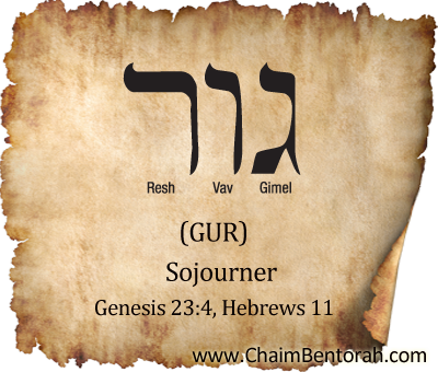 Hebrew Word Study – Sojourner – Gur   גור