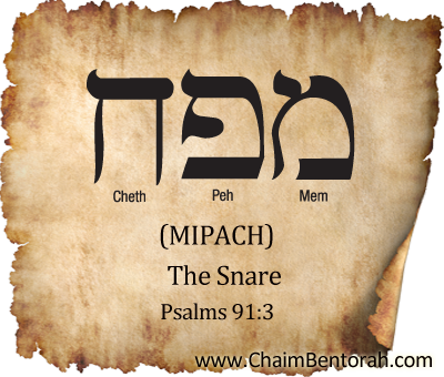 Hebrew Word Study – The Snare  מפח