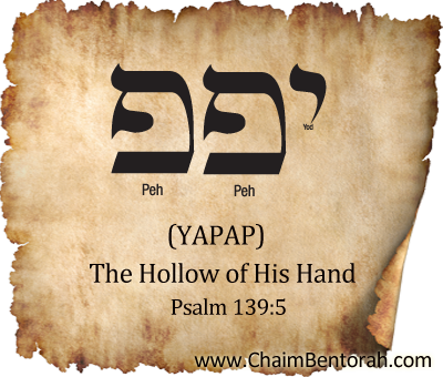 Hebrew Word Study – The Hollow of His Hand – Yapap      