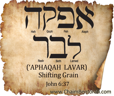 Aramaic Word Study – Shifted Grain – ‘Aphaqah  Lavar  אפקה לבר 