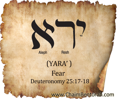 Hebrew Word Study – Fear – Yara’