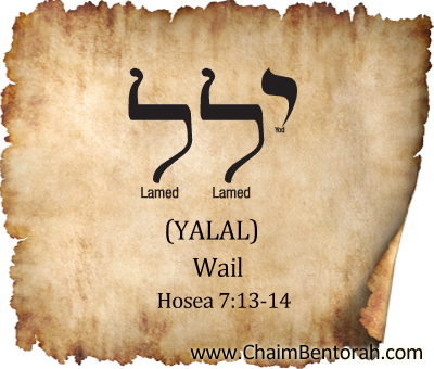 Hebrew Word Study – Wail – Yalal