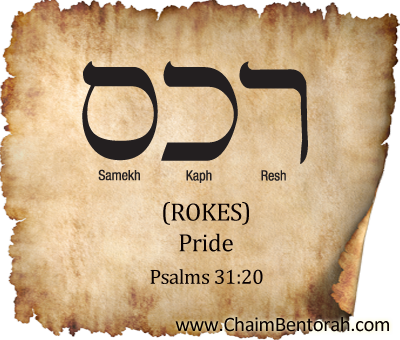 Hebrew Word Study – Pride – Rokes