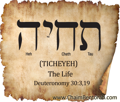 Hebrew Word Study – The Life – Ticheyeh