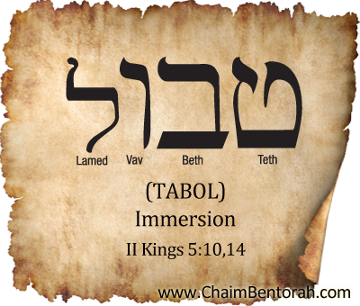 Hebrew Word Study – Immersion – Tabol | Chaim Bentorah