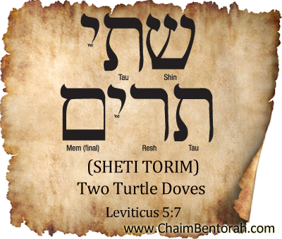 Hebrew Word Study – Two Turtle Doves – Sheti Torim