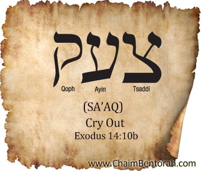 Hebrew Word Study – Cry Out – Sa’aq