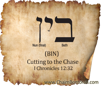Hebrew Word Study – Cutting to the Chase – Bin