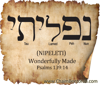 Hebrew Word Study – Wonderfully Made – Nipeleti