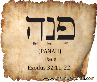 Hebrew Word Study – Face – Panah – Pei Nu Hei 