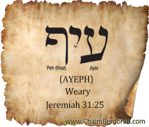 Hebrew Word Study–Weary–Ayeph - Chaim Bentorah