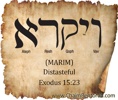 Hebrew Word Study – Distasteful – Marim | Chaim Bentorah