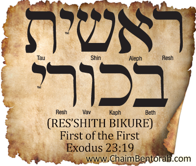 Hebrew Word Study – First of the First – Res’shith Bikure