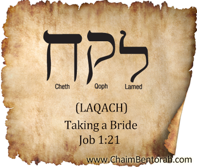 Hebrew Word Study – Taking a Bride – Laqach 