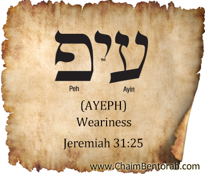 Hebrew Word Study – Weariness – Ayeph