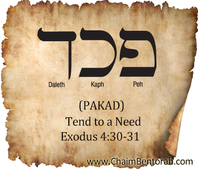 Hebrew Word Study  – Tend to a Need – Pakad